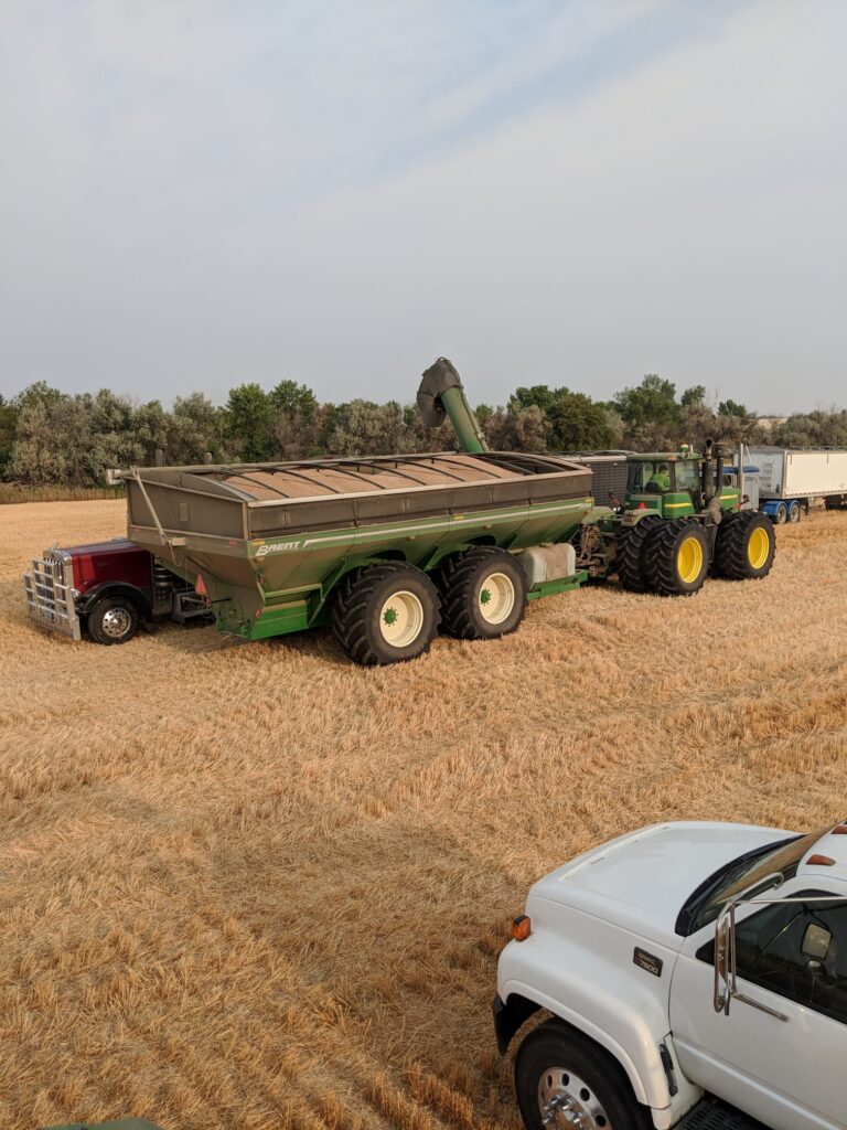 Zimmerman Farms